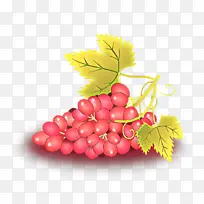 卡通 葡萄 无籽水果-空若网 卡通 葡萄 无籽水果-空若网