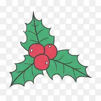 冬青 叶 葡萄叶-空若网 冬青 叶 葡萄叶-空若网