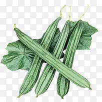 ˮ�ʻ� ���� ʪī-������