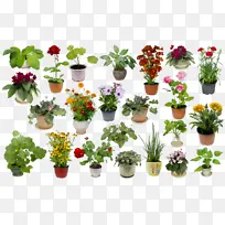 ˮ�� ���� ʪī-������