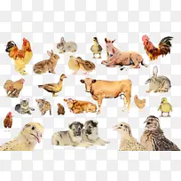 水彩画 颜料 湿墨-空若网 水彩画 颜料 湿墨-空若网