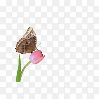 ���� ���� �ɶ�ͺ���-������