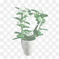 采购产品花 开花植物 花盆-空若网 采购产品花 开花植物 花盆-空若网