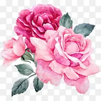 ���� ����ֲ�� ��԰õ��-������