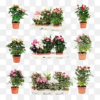 水彩 油漆 湿墨-空若网 水彩 油漆 湿墨-空若网