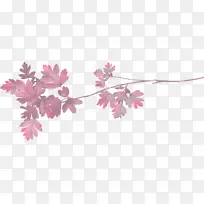 粉色 花 叶-空若网 粉色 花 叶-空若网