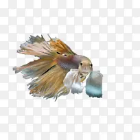 ��ë �� ���-������