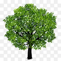 ˮ�� ���� ʪī-������