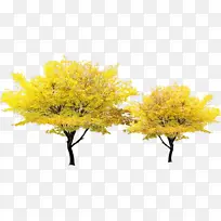 水彩 油漆 湿墨-空若网 水彩 油漆 湿墨-空若网