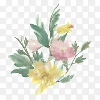 采购产品花 开花植物 植物-空若网 采购产品花 开花植物 植物-空若网