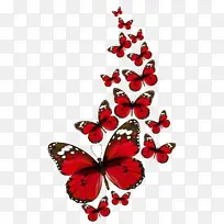 ºûµû À¥³æ ºìÉ«-¿ÕÈôÍø ºûµû À¥³æ ºìÉ«-¿ÕÈôÍø