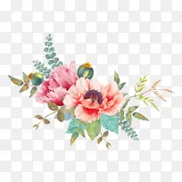 �ɹ���Ʒ�� �л� �ۺ�ɫ-������