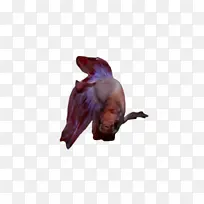 水彩 油漆 湿墨水-空若网 水彩 油漆 湿墨水-空若网