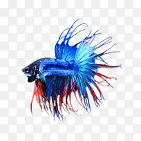 水彩 油漆 湿墨水-空若网 水彩 油漆 湿墨水-空若网