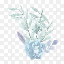 Ҷ�� ֲ�� ��-������