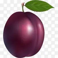 ˮ�� ŷ������ Ҷ��-������