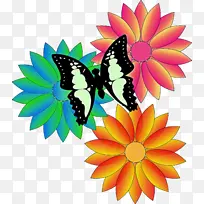 �ɹ���Ʒ���� �ɶ�ͺ��� ����-������