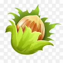 绿色 叶子 植物-空若网 绿色 叶子 植物-空若网