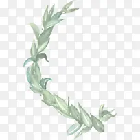 植物 花 叶-空若网 植物 花 叶-空若网