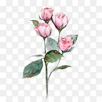 花卉 开花植物 植物-空若网 花卉 开花植物 植物-空若网