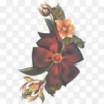 花 植物 花瓣-空若网 花 植物 花瓣-空若网