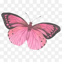 �ɶ�ͺ��� ���� ����-������