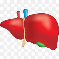 植物 动画 拇指-空若网 植物 动画 拇指-空若网