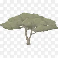 叶子 树 植物-空若网 叶子 树 植物-空若网