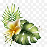 �� ֲ�� Ҷ-������