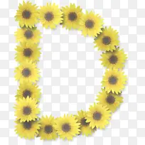 向日葵 黄色 花-空若网 向日葵 黄色 花-空若网