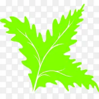 叶 植物 花-空若网 叶 植物 花-空若网