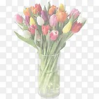 采购产品花 开花植物 郁金香-空若网 采购产品花 开花植物 郁金香-空若网