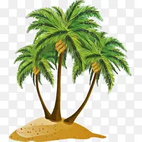 采购产品树 棕榈树 槟榔-空若网 采购产品树 棕榈树 槟榔-空若网