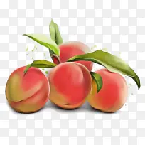 欧洲李 桃 水果-空若网 欧洲李 桃 水果-空若网