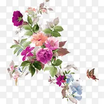 花 开花植物 植物-空若网 花 开花植物 植物-空若网