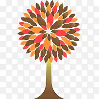 橙色 植物-空若网 橙色 植物-空若网