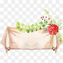 植物 水果 浆果-空若网 植物 水果 浆果-空若网