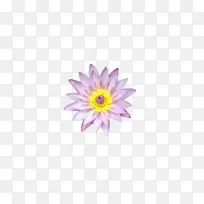 �� ������ ����-������