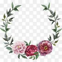 花卉 植物 开花植物-空若网 花卉 植物 开花植物-空若网