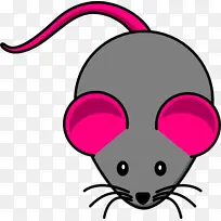老鼠 粉色 鼻子-空若网 老鼠 粉色 鼻子-空若网