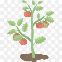 叶 植物 花-空若网 叶 植物 花-空若网