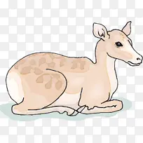 卡通 野生动物 动物形象-空若网 卡通 野生动物 动物形象-空若网