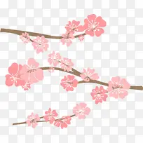 ��ɫ �� ӣ��-������