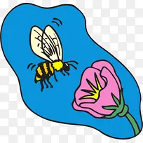 膜状昆虫-空若网 膜状昆虫-空若网