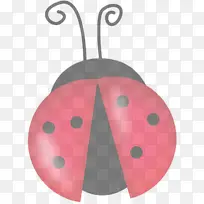 粉色昆虫圆点甲虫-空若网 粉色昆虫圆点甲虫-空若网