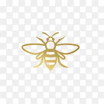 黄色 昆虫 对称性-空若网 黄色 昆虫 对称性-空若网