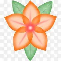 花瓣 橙色 花朵-空若网 花瓣 橙色 花朵-空若网