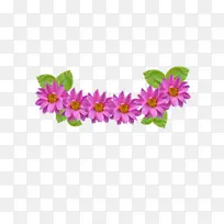 花朵 粉色 花瓣-空若网 花朵 粉色 花瓣-空若网