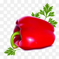 天然食品 蔬菜 植物-空若网 天然食品 蔬菜 植物-空若网