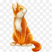 橙色 胡须 尾巴-空若网 橙色 胡须 尾巴-空若网